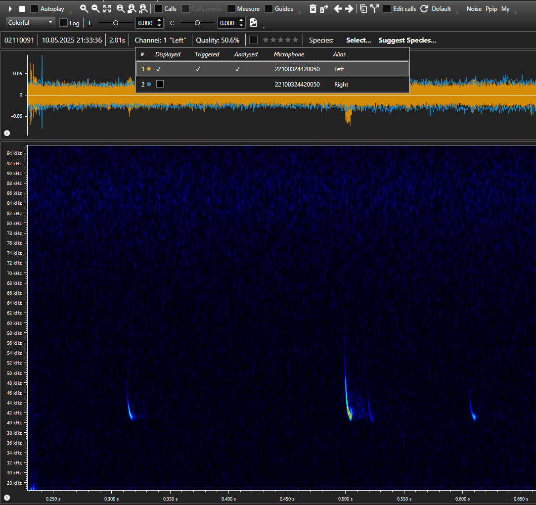 _images/M2_stereo_recording_batexplorer.png